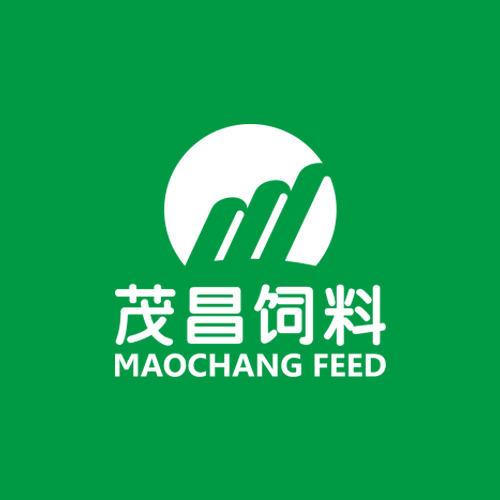 ï������