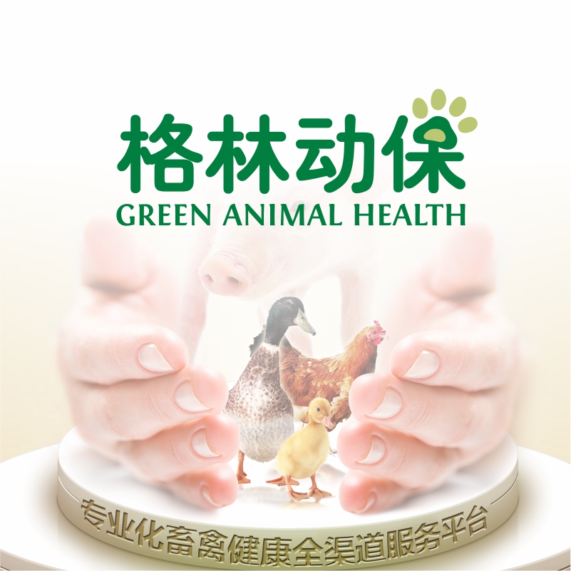 ���ֶ���